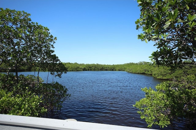 property view of water