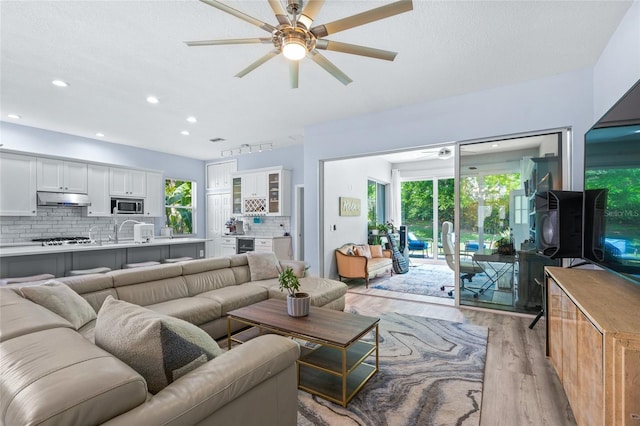 living room featuring light hardwood / wood-style floors and ceiling fan