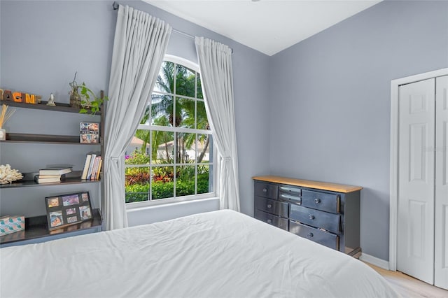 bedroom featuring multiple windows and light hardwood / wood-style floors