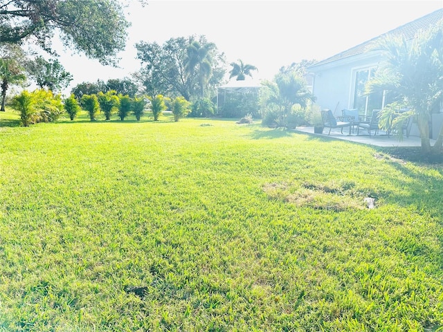 view of yard with a patio area