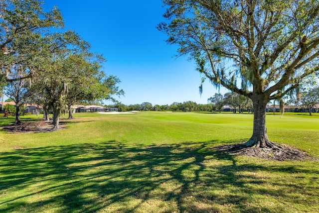 view of community featuring a lawn