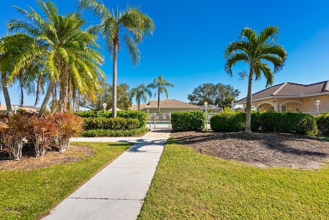 view of community with a lawn