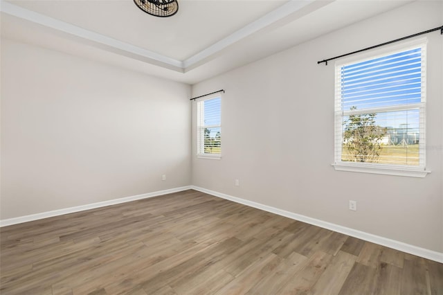 empty room with hardwood / wood-style floors, plenty of natural light, and a tray ceiling