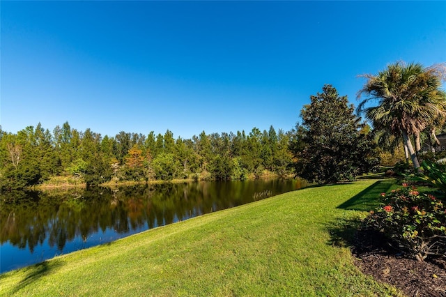 property view of water