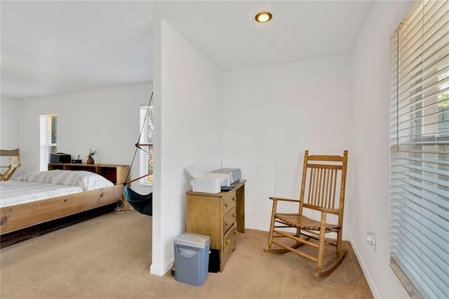 view of carpeted bedroom