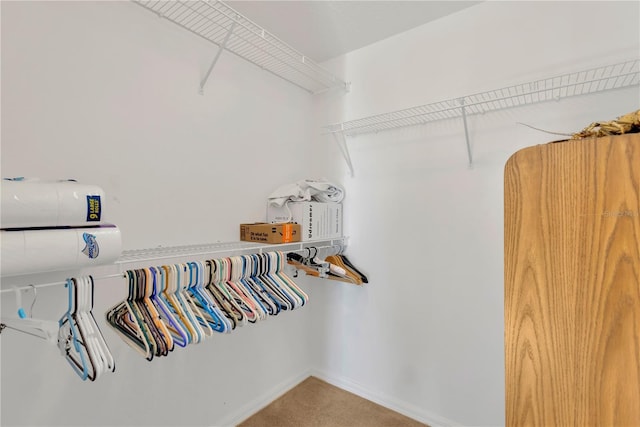 spacious closet featuring carpet flooring