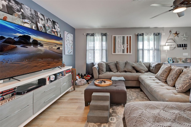 living room with ceiling fan and light hardwood / wood-style floors