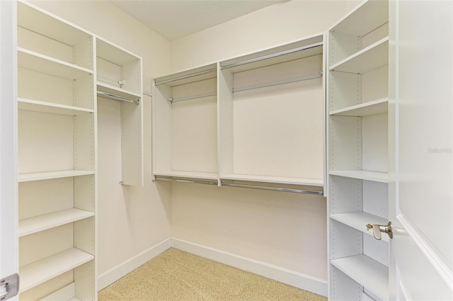 spacious closet featuring carpet flooring