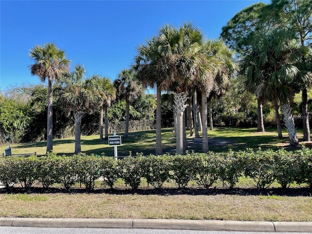 view of community with a lawn