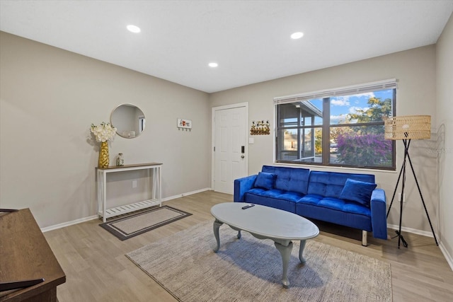 living room featuring light hardwood / wood-style flooring