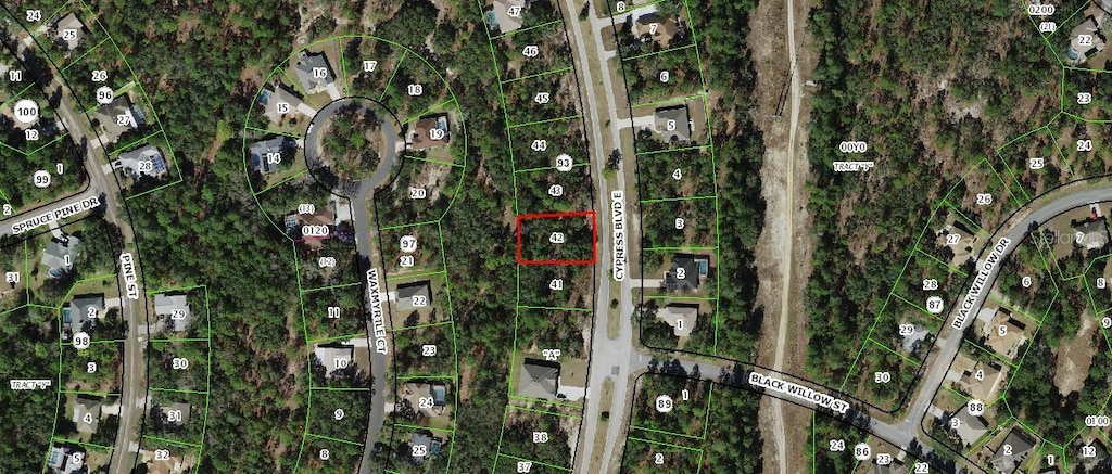 113 Cypress Blvd E, Homosassa, FL 34446