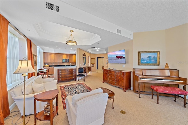 living room with a tray ceiling, light colored carpet, and a textured ceiling