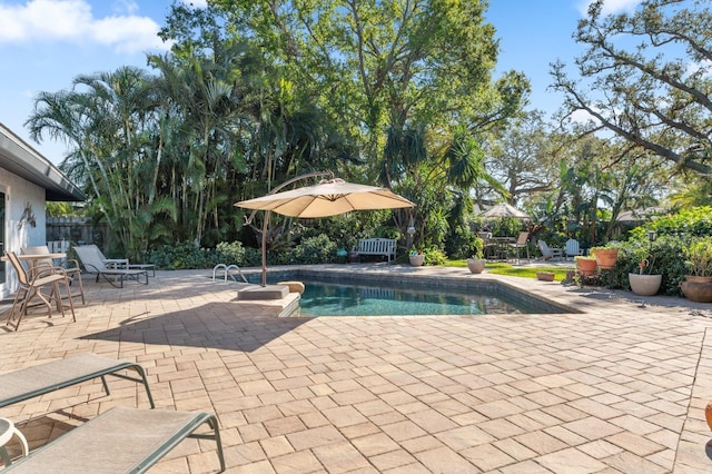 view of swimming pool with a patio