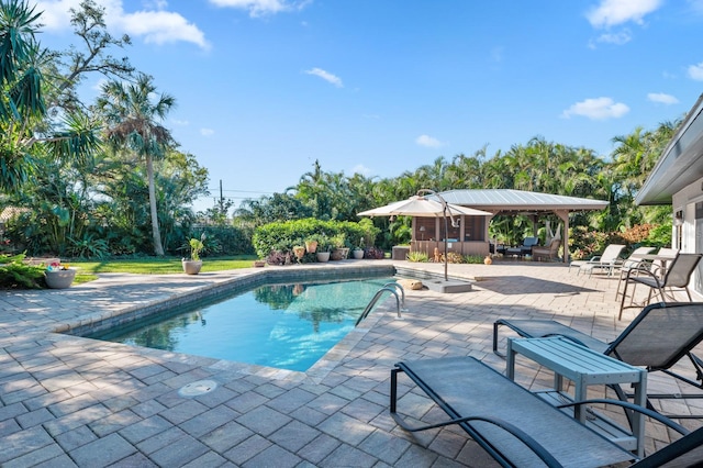 view of swimming pool featuring a patio