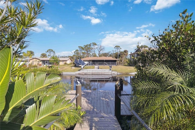 dock area with a water view