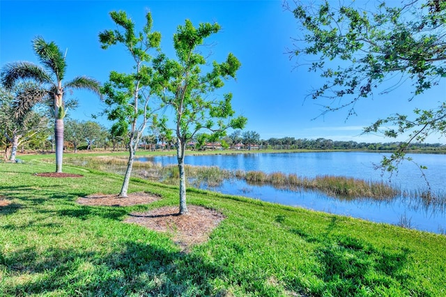 property view of water