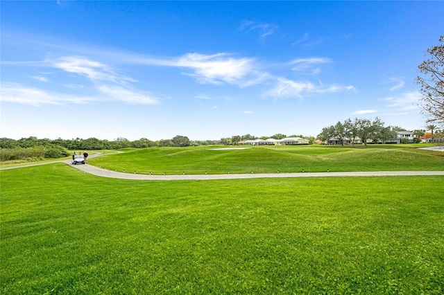 view of home's community with a yard