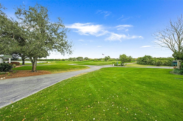 view of community with a lawn