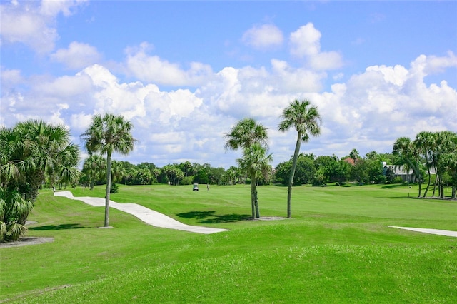 view of community with a yard