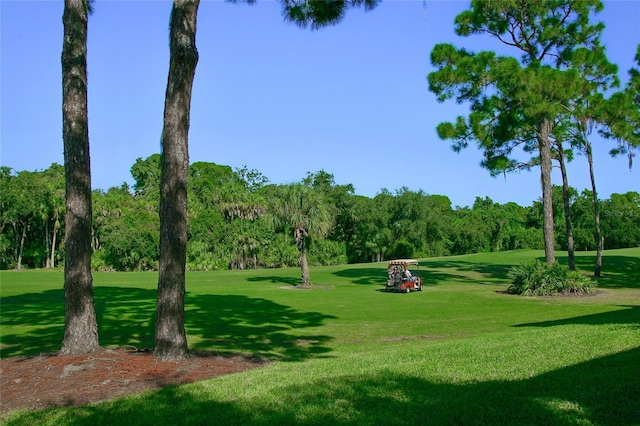 surrounding community with a lawn