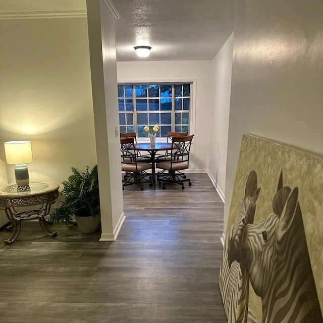 dining space with a textured ceiling and dark hardwood / wood-style floors