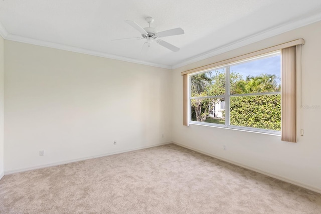 unfurnished room featuring carpet, ceiling fan, and ornamental molding