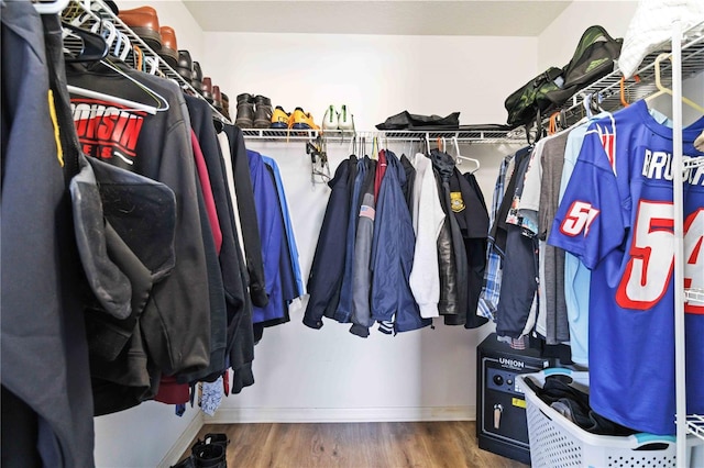 spacious closet featuring dark wood-type flooring