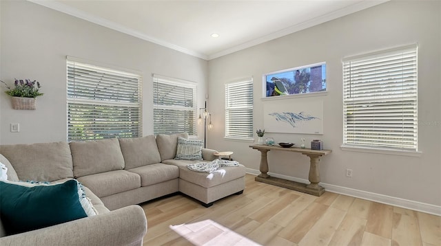 living room with ornamental molding, light hardwood / wood-style flooring, and a healthy amount of sunlight