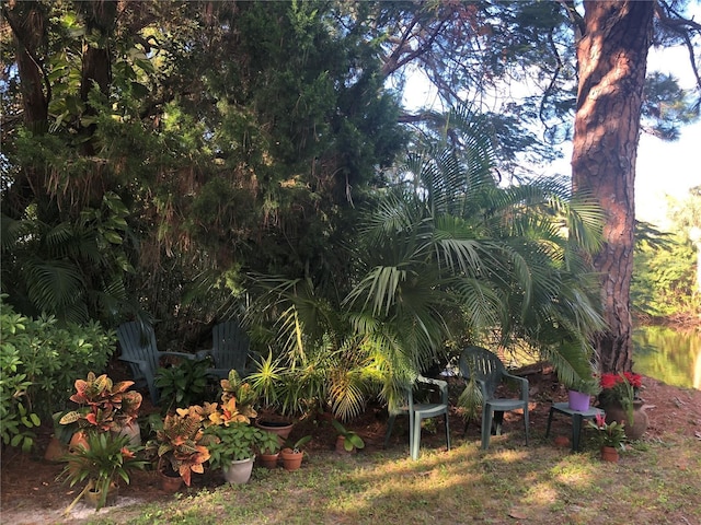 view of yard featuring a water view