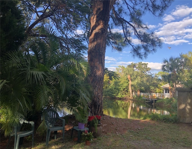 view of yard featuring a water view