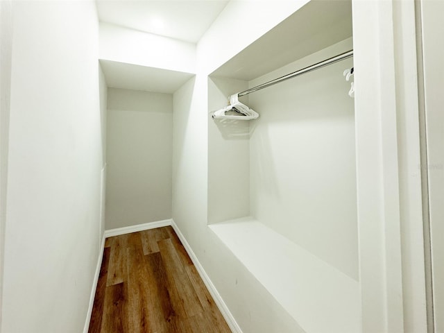 spacious closet with hardwood / wood-style flooring