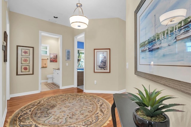 foyer with hardwood / wood-style flooring