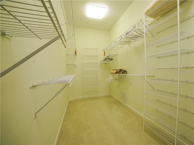 spacious closet with carpet floors