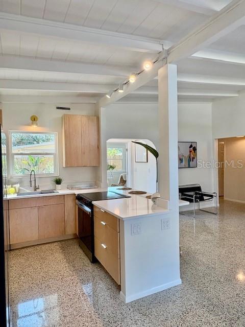 kitchen featuring a healthy amount of sunlight, stove, sink, and light brown cabinets