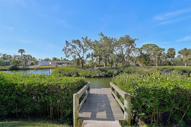 dock area with a water view