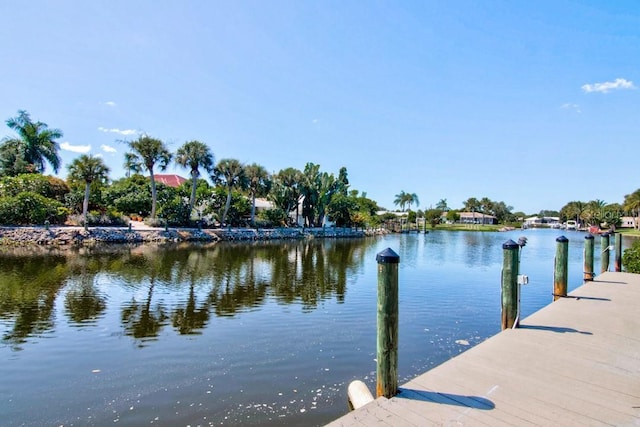 dock area with a water view