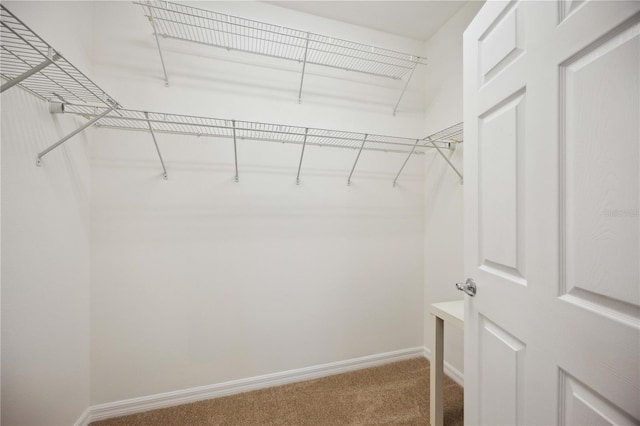 spacious closet with carpet