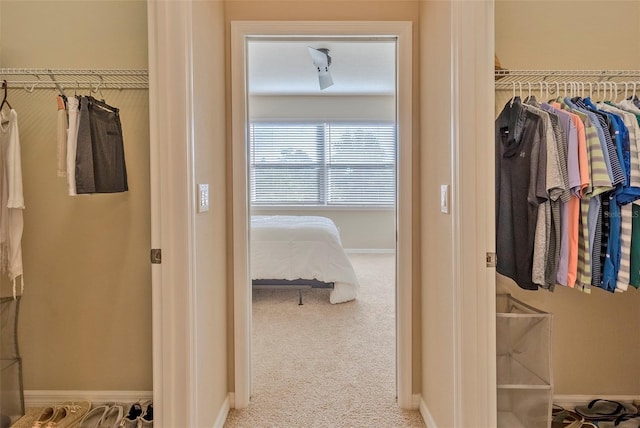 spacious closet with carpet