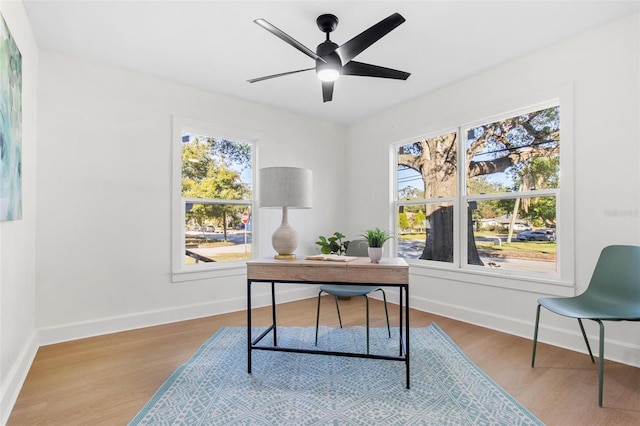 office area featuring ceiling fan and light hardwood / wood-style flooring