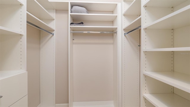 view of walk in closet