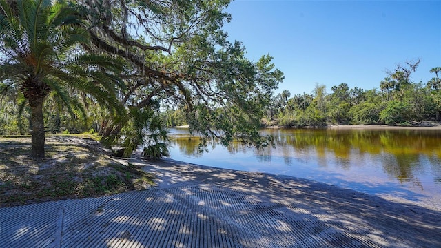 property view of water