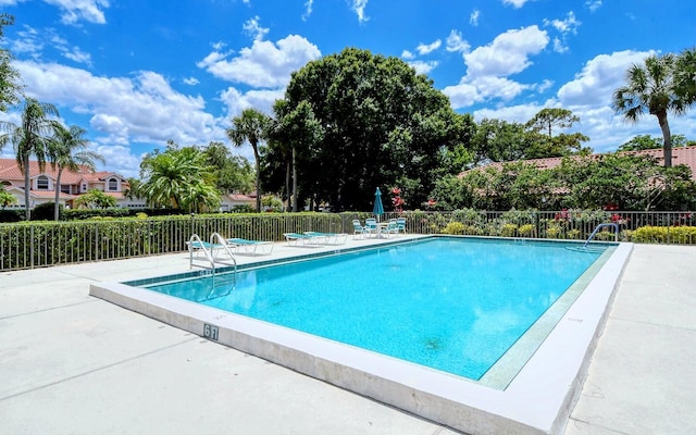 view of swimming pool with a patio area