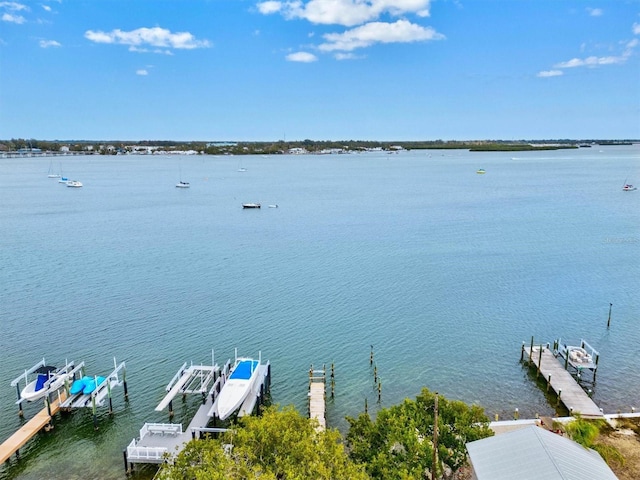 dock area featuring a water view