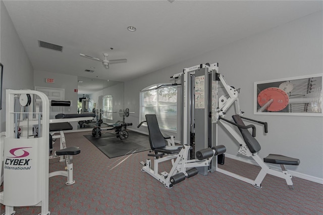 exercise room featuring ceiling fan and carpet