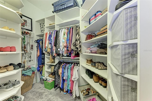 spacious closet with light colored carpet