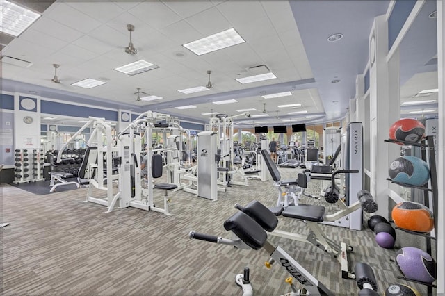 exercise room featuring a paneled ceiling, ceiling fan, and carpet