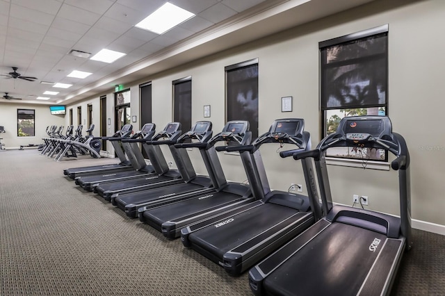 exercise room with carpet flooring, ceiling fan, and a drop ceiling