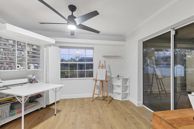 home office featuring crown molding, ceiling fan, and light hardwood / wood-style floors