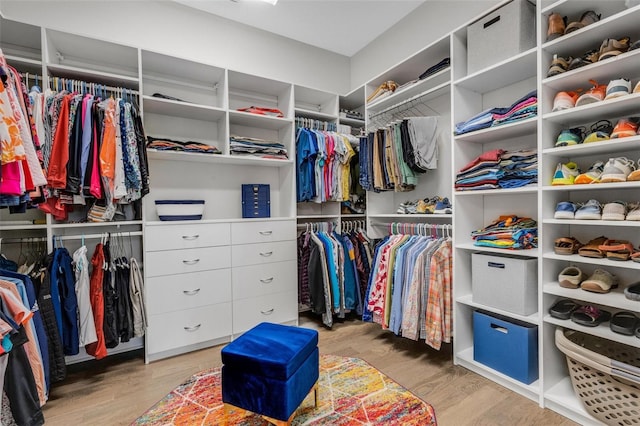 spacious closet with wood finished floors