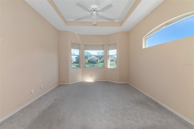 spare room featuring plenty of natural light, light carpet, and a tray ceiling